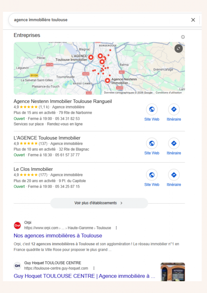 exemple pack local seo immobilier